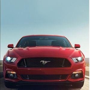 Meet your Posher, Nicholas